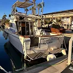 Motorboat In The Harbor
